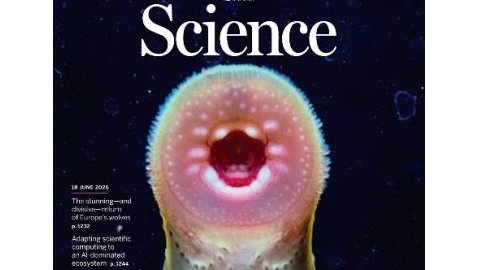 澳门十大信誉好的平台七鳃鳗研究中心首登国际顶刊《Science》封面文章